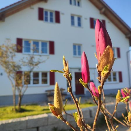 Appartamento Viel Platz In Bernbach Bidingen Esterno foto